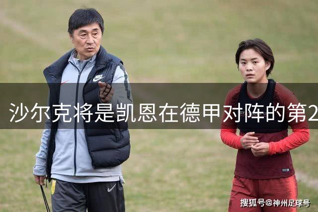 沙尔克将是凯恩在德甲对阵的第21支球队，此前20队皆被他破门